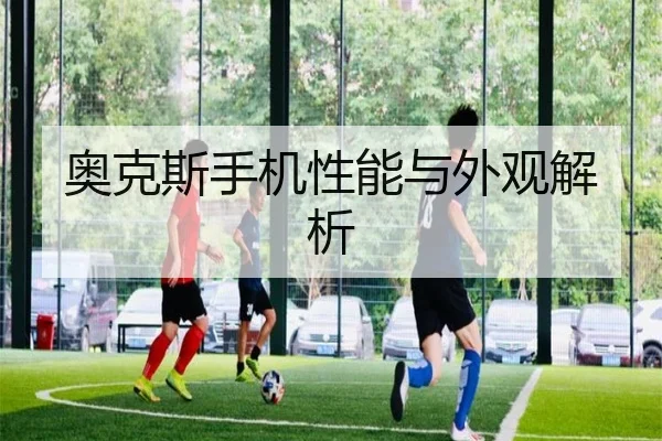 奥克斯手机性能与外观解析