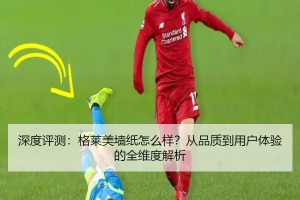深度评测：格莱美墙纸怎么样？从品质到用户体验的全维度解析 - leyu