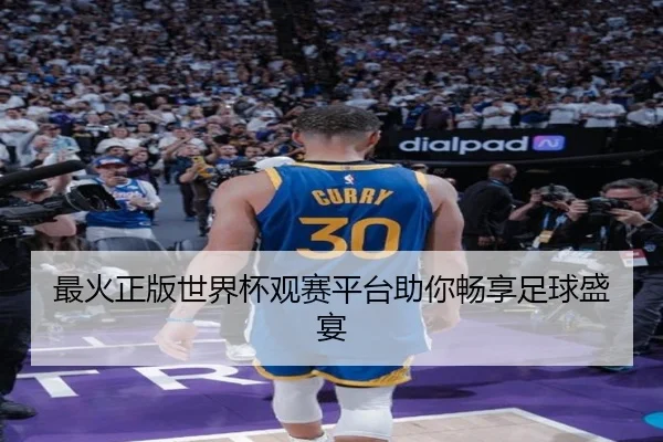 最火正版世界杯观赛平台助你畅享足球盛宴